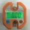 WH - C100 Industrial Crane Scale 100g Division With Auto Off Function supplier