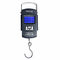 10 G Division High Precision Handheld Luggage Scale / Handheld Digital Weight Scale supplier