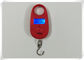 Steel Hook Suitcase Weighing Scales , Pocket Size Digital Luggage Scale supplier